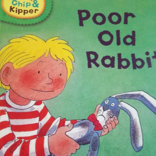 poor   old  rabbit