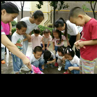 《陪孩子走过幼儿园三年》——实地考察最重要