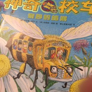 兔米读绘本：神奇校车之奇妙的蜂巢