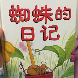 蜘蛛的日记——by小小妈妈