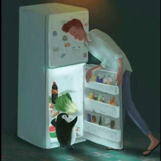 《世界上所有的童话都是写给大人看的》冰箱里的企鹅