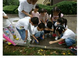 《陪孩子走过幼儿园三年》——幼儿园里学什么