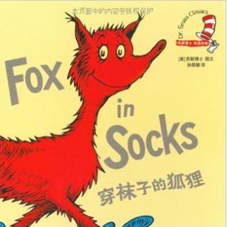 Fox in socks