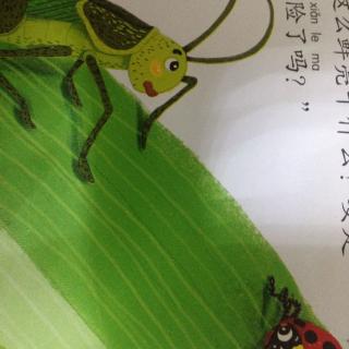 百科故事：红甲虫遇险