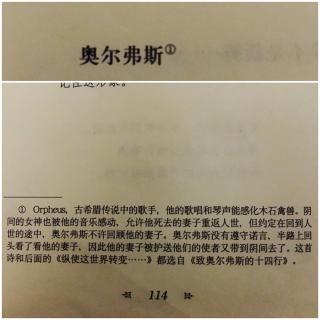 [25][给青年诗人的信.里尔克][p114-115奥尔弗斯]