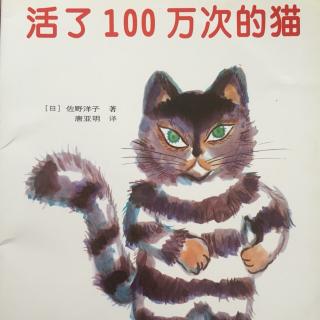 活了100万次的猫