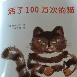 活了100万次的猫