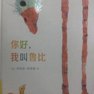 你好，我叫鲁比