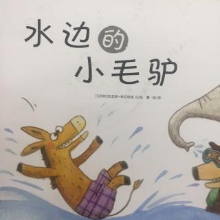 水边的小毛驴