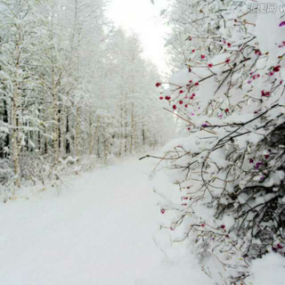 《春雪》［唐］韩愈