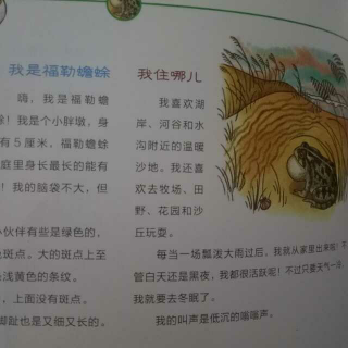 福勒蟾蜍和南部蟾蜍