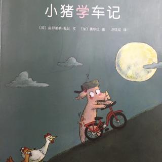 朵儿讲故事之《小猪学车记》