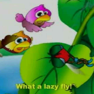 A Lazy Fly
