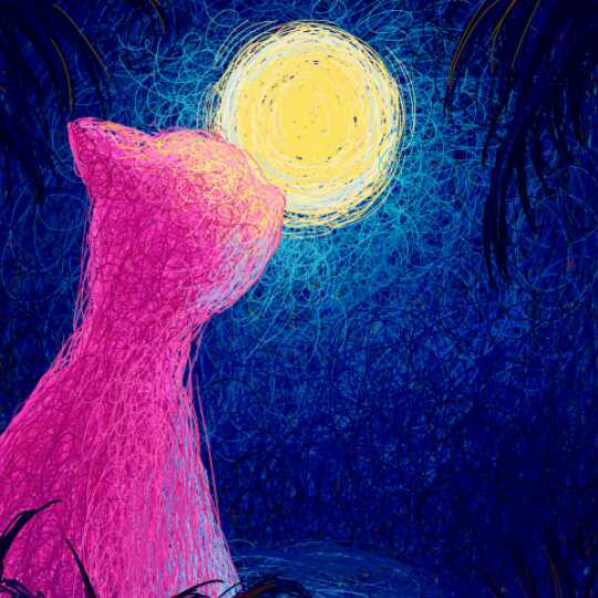 《小野狗与小蝴蝶》