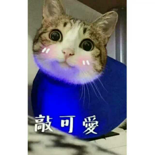 寓言故事《一头学问渊博的猪》