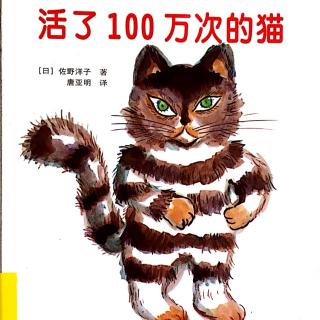 活了100万次的猫