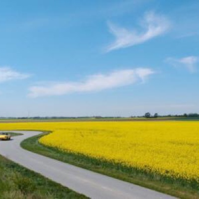 意图法则——学了很多成长很慢的原因?