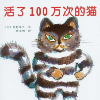 活了100万次的猫