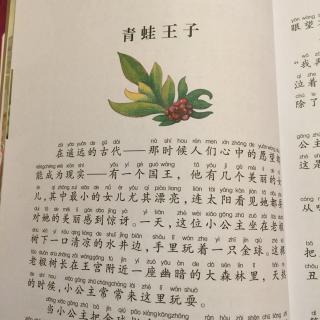 格林童话—青蛙王子