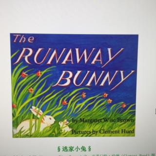 Sandy阿姨讲英文故事-全英文版runaway bunny逃家小兔