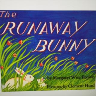 Sandy阿姨讲英文故事-双语版runaway bunny逃家小兔