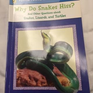 Why do snakes hiss part 1