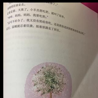 盗贼和小羊羔