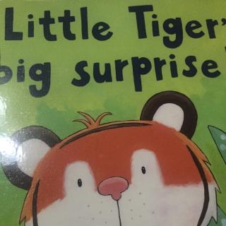 Little tiger's big surprise