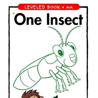 one insect