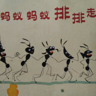 《蚂蚁蚂蚁排排走》