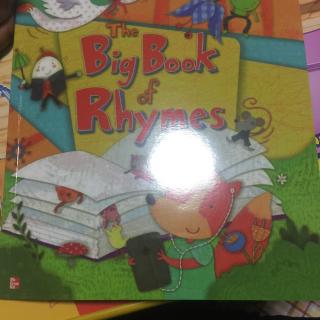 the big book of rhymes-1球妈