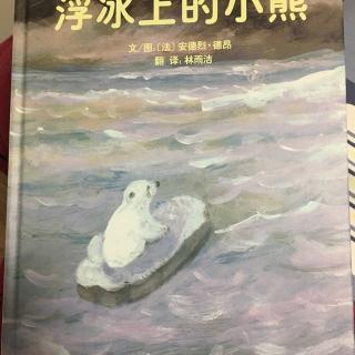 浮冰上的小熊