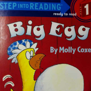 Big Egg 讲解版