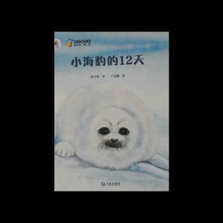 绘本《小海豹的12天》