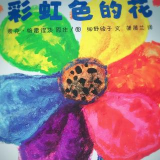 中文绘本《彩虹色的花》🌈