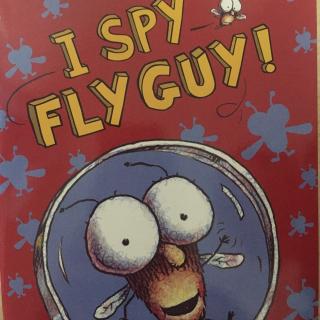 I spy fly guy!