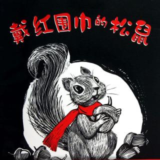 【毛毛阿姨的故事屋】戴红围巾的松鼠