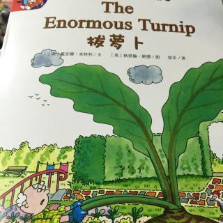 The Enormous Turnip