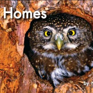 100个儿童英文故事集之Book 31 “Homes”