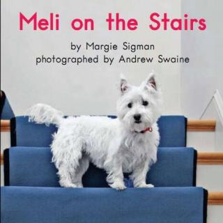 100个儿童英文故事集之Book 30 “Meli On The Stairs”