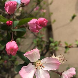 189_小雅_斯干(祈父之什)