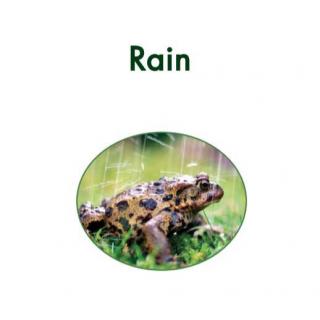 100个儿童英文故事集之Book 16 “Rain”