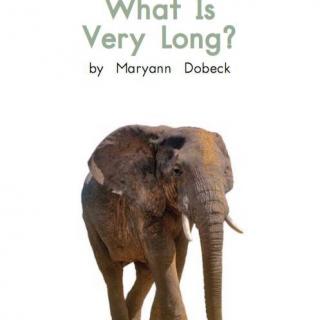 100个儿童英文故事集之Book 19 “What is very long？”