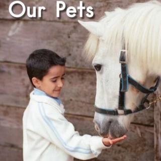 100个儿童英文故事集之Book 20 “Our Pets”