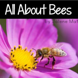 All about bees-4