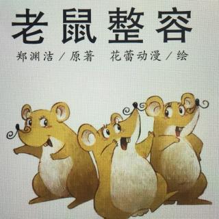 老鼠整容图片