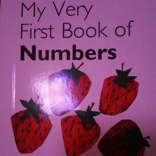 My very first book of numbers