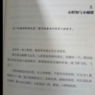 【小野狗与小蝴蝶的故事】自娱自乐 不喜勿喷