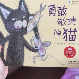 勇敢敏捷的猫