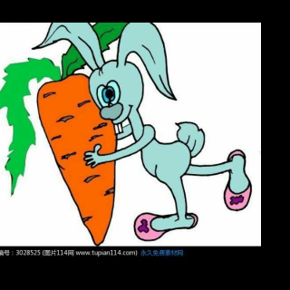 笑话 买胡萝卜的兔子🐰